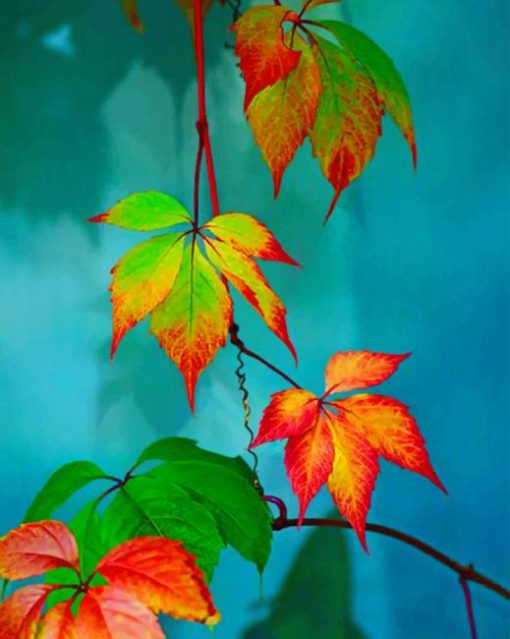 Colorful Leaves paint by numbers