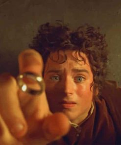 Frodo paint by numbers