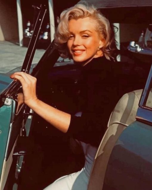 Marilyn Monroe In The Car paint by numbers