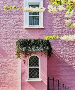 Notting Hill Windows paint by numbers