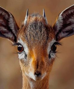 Smiling Antelope Animal paint by numbers