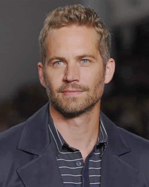 American Actor Paul Walker paint by numbers