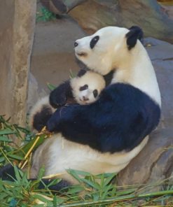 Baby And Mummy Panda paint by numbers