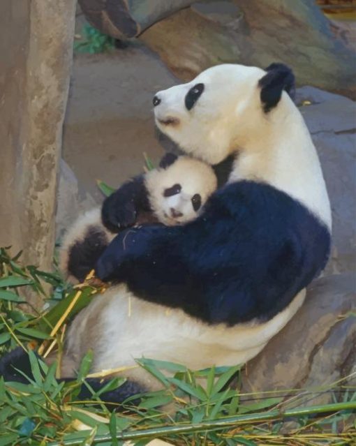 Baby And Mummy Panda paint by numbers