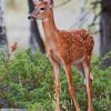 Baby Deer paint by numbers