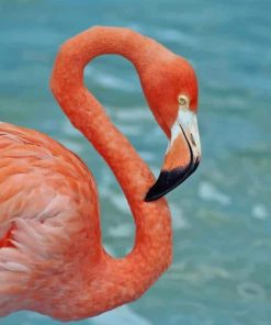 Beautiful Flamingo paint by numbers