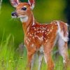 Beautiful Deer paint by numbers