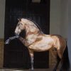 Lusitano Horse paint by numbers