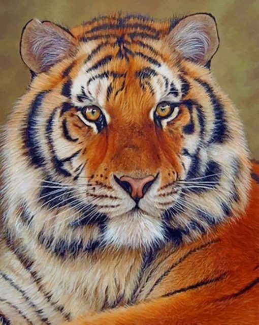 Beautiful Siberian Tiger paint by numbers