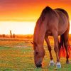 Big Horse Sunset paint by numbers