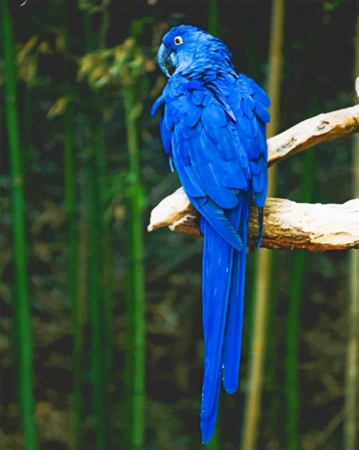 Blue Bird Perch On Tree paint by numbers