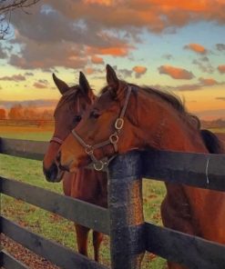 Brown Horses paint by numbers