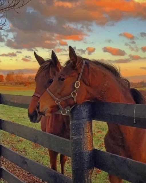 Brown Horses paint by numbers