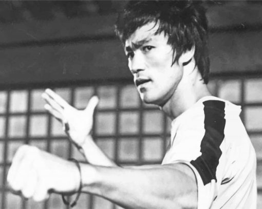 Bruce Lee The Dragon paint by numbers