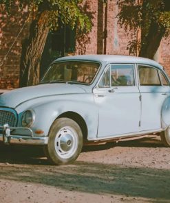 Classic Blue Sedan Near Green Leaf Trees At Daytime paint by numbers