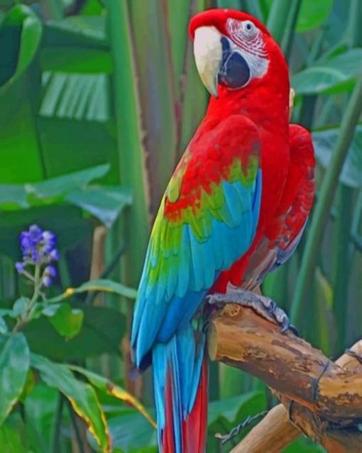 Macaw Parrot On Tree paint by numbers