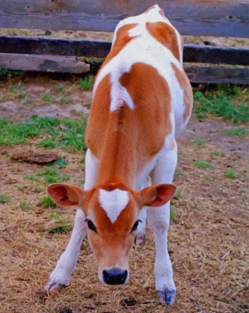 Cute Beautiful Cow paint by numbers