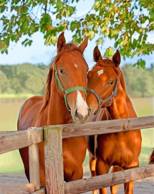 Cute Brown Horses paint by numbers