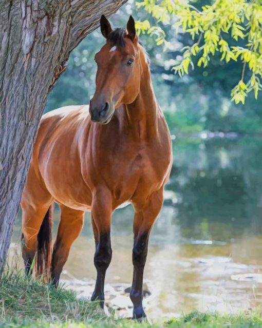 Cute Brown Horse paint by numbers