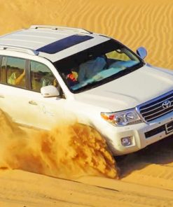 Desert Safari Dubai Car paint by numbers