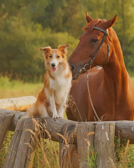 Dog And Horse paint by numbers