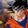 Goku Dragon Ball Z paint by numbers