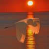 Great Egret Sunset paint by numbers