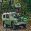 Green And White Jeep Wrangler Parked Near Green Trees paint by numbers