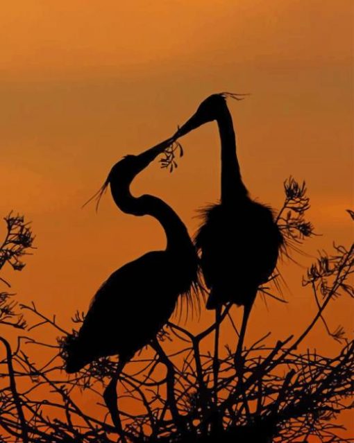 Heron Silhouette paint by numbers