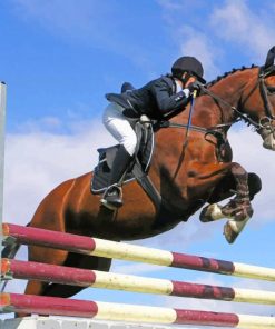 Horse Race Obstacles Skipping paint by numbers