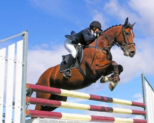 Horse Race Obstacles Skipping paint by numbers