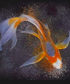 Koi Fish paint by numbers