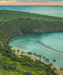 koko Head Distric Park Hawaii paint by numbers