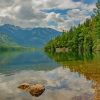 Lush Green Forest On Lake Shore In Highlands paint by numbers