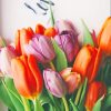 Orange And Purple Tulips paint by numbers