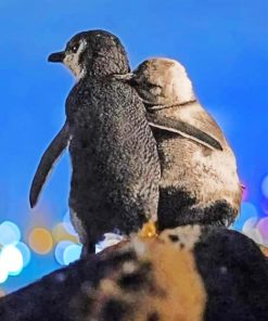 Penguins Watching Night Sky paint by numbers