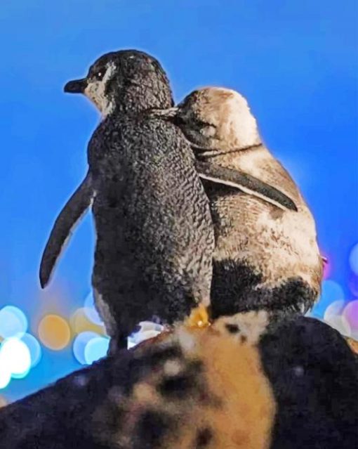 Penguins Watching Night Sky paint by numbers