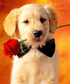 Puppy Holding A Flower paint by numbers