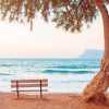 Seaside Spot With Tree And Chair paint by numbers