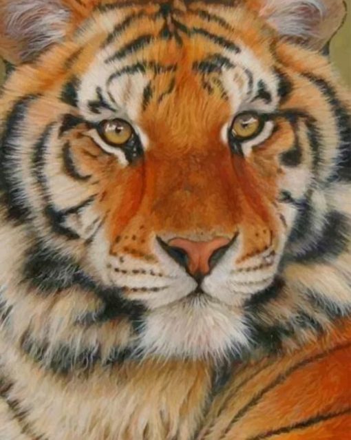 Siberian Tiger paint by numbers