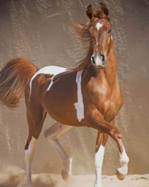 Sorrel Horse paint by numbers