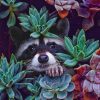 Succulent Racoon paint by numbers