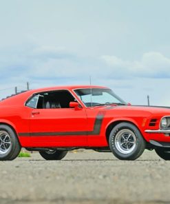 1970 Ford Mustang Boss paint by numbers