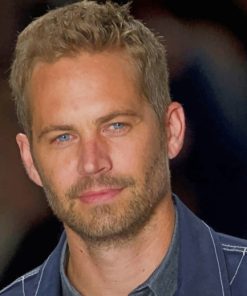 Actor Paul William Walker paint by numbers