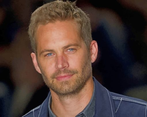 Actor Paul William Walker paint by numbers