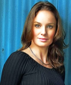 Actress Sarah Wayne Callies paint by numbers