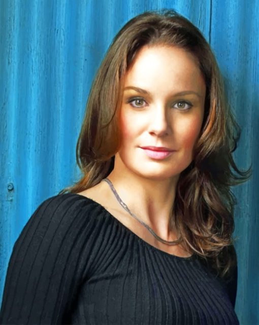 Actress Sarah Wayne Callies paint by numbers