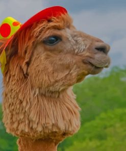 Alpaca Domesticated Llamas paint by numbers