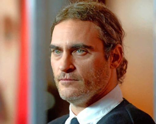 American Celibrity Joaquin Phoenix paint by numbers