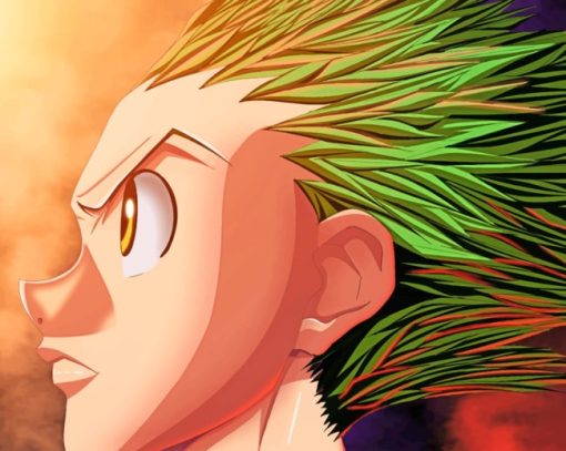 Gon Hunter X Hunter paint by numbers